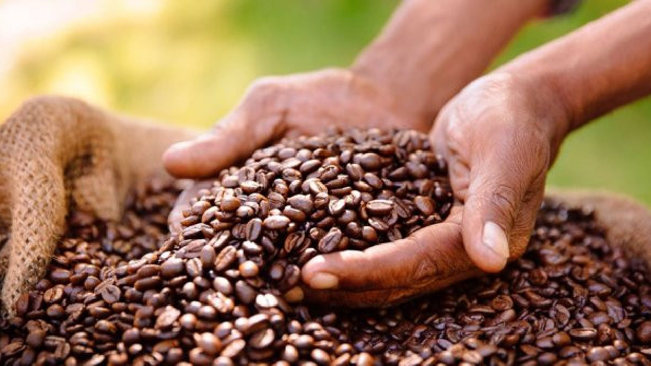 Kahve severlere kötü haber, bilim insanları açıkladı