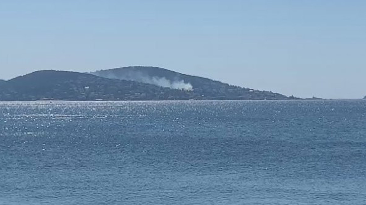 Büyükada'da yine yangın çıktı