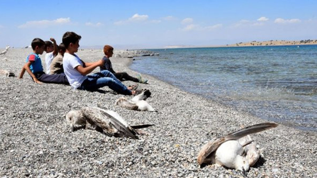 Çocuklar yanlarında oturuyor: Tek tek ölüyorlar