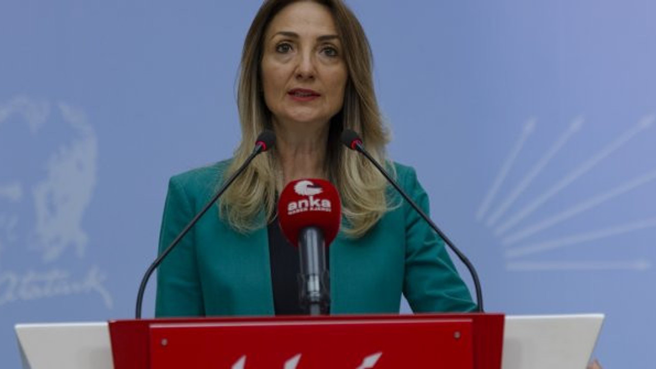 CHP Kadın Kolları Başkanı Nazlıaka İstanbul sözleşmesini ağır sözlerle savundu: Sosyal medya ayağa kalkatı