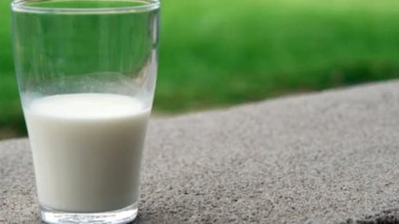 Birçok hastalıkla kolay baş etmenin yolu: Keçi sütünü bilinmeyen faydaları