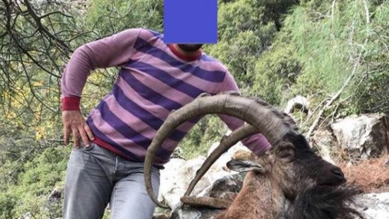 Bu fotoğraf çok ama çok pahalıya patladı