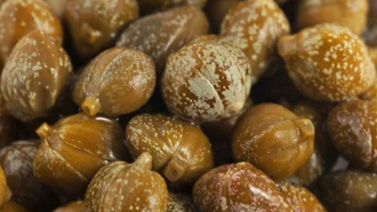 Mucize antioksidan beynin de en iyi dostu! Haftada 3 kilo verdiren mucize diyet