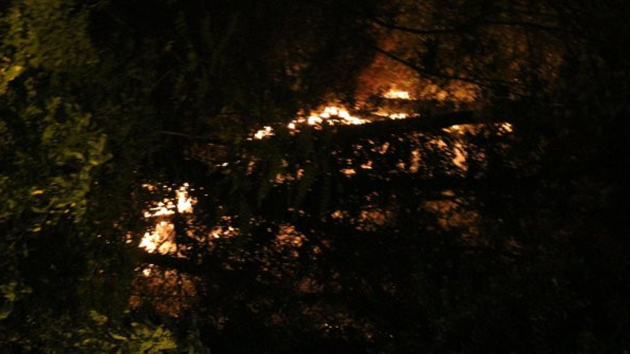 Emirgan Korusu’ndaki yangının sebebi belli oldu