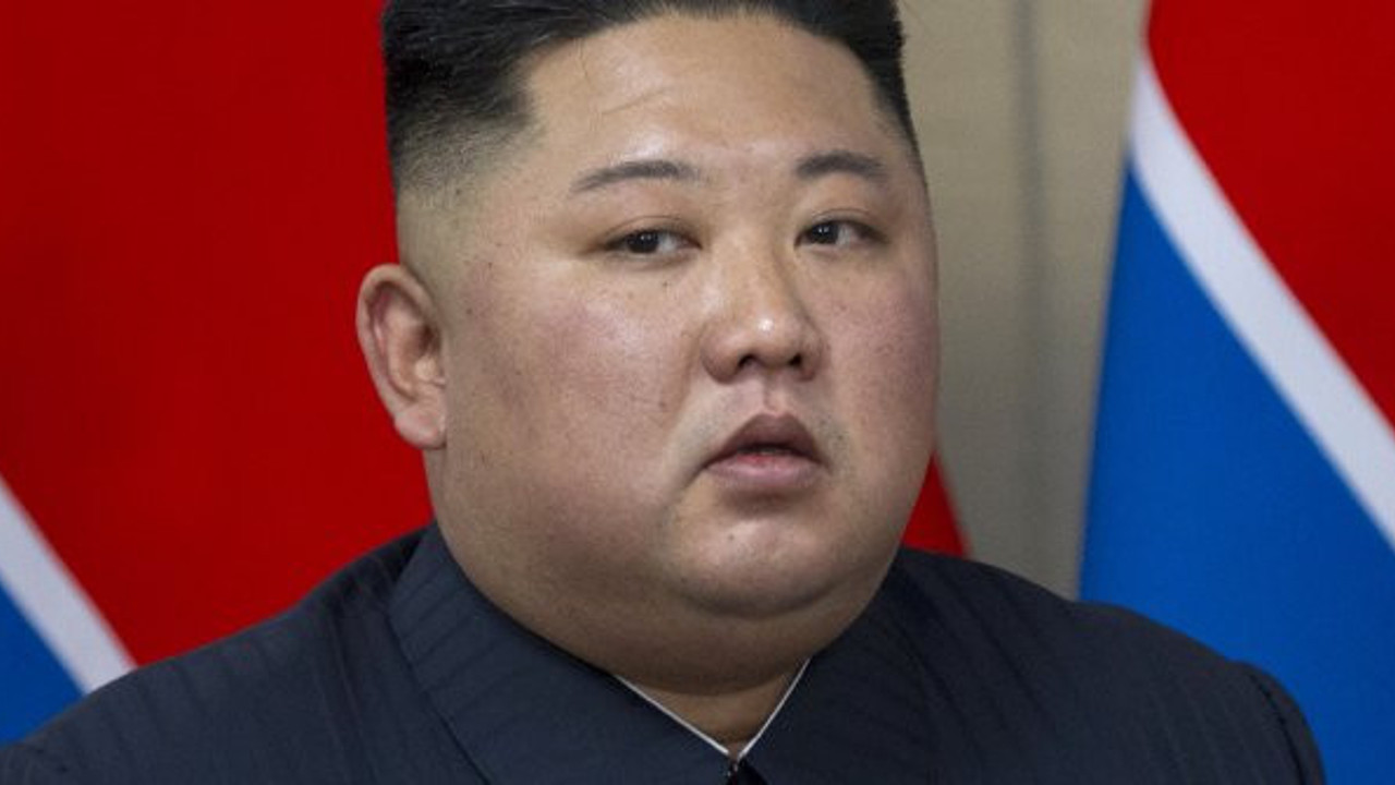 Kuzey Kore lideri Kim'in "evcil köpeklerin toplatılması talimatı verdiği" iddiası