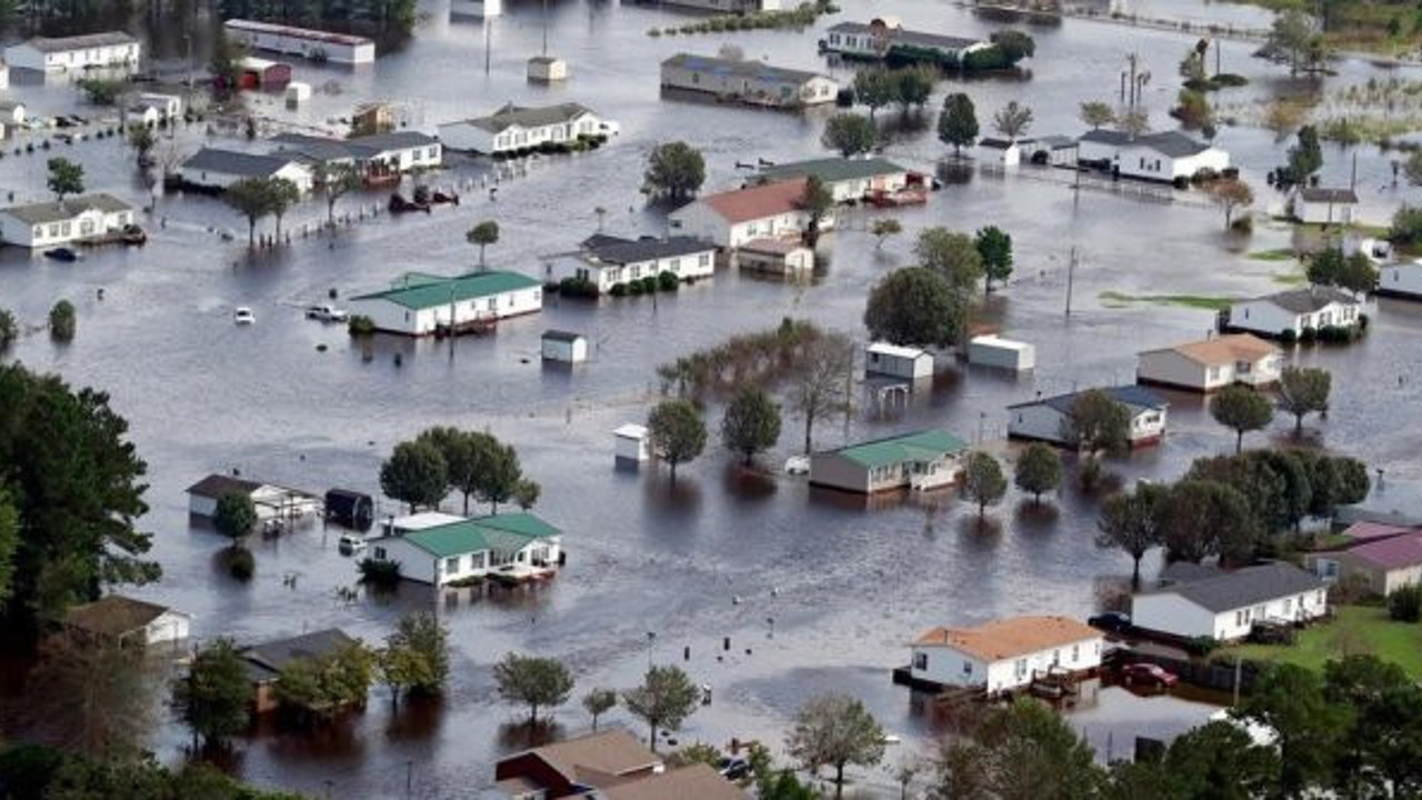 Kimse bu özelliğini bilmiyordu: Uyku halindeki virüsleri harekete geçirebilir