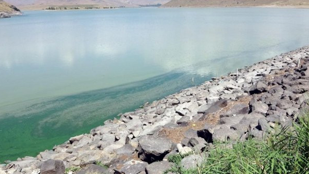 Çözülemeyen olay: Göldeki değişim tedirgin etti: Neler oluyor