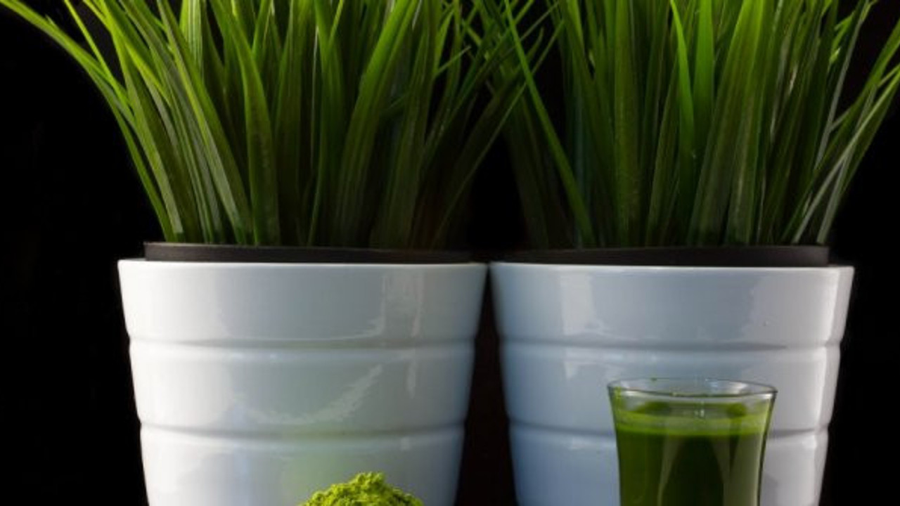 Vitamin ve antioksidan deposu olan en iyi 10 yeşillik