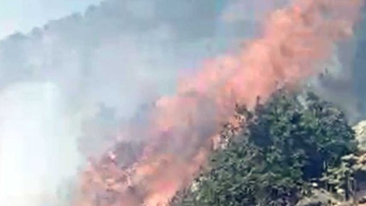 Kayseri'de 3 hektarlık orman alanı yandı