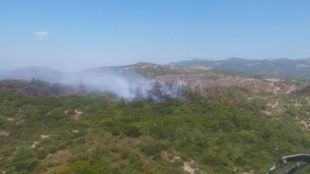 İzmir'de ormanlık alanda yangın (21 Ağustos 2020)