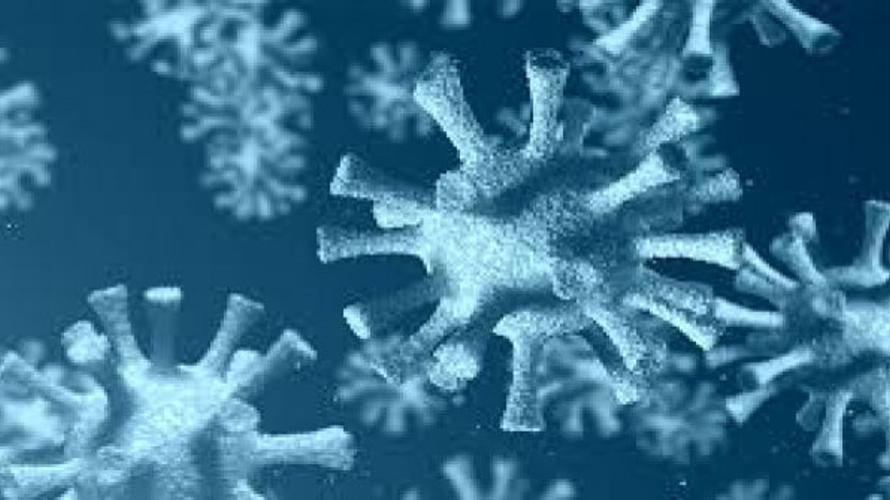 Kekikteki mucize ile koronayı yendiler: Aile boyu iyileştiler!