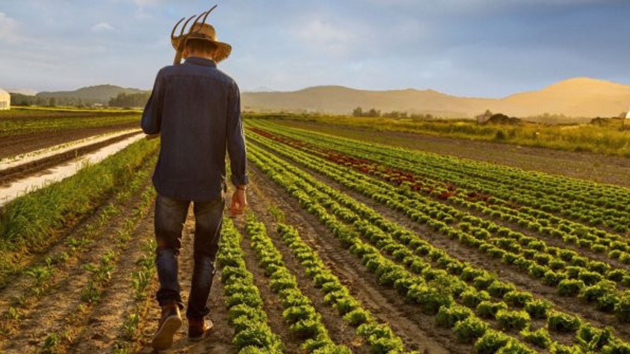 Kimi tarlasını satıyor, kimi intihar ediyor: Türk çiftçisi borç batağında!
