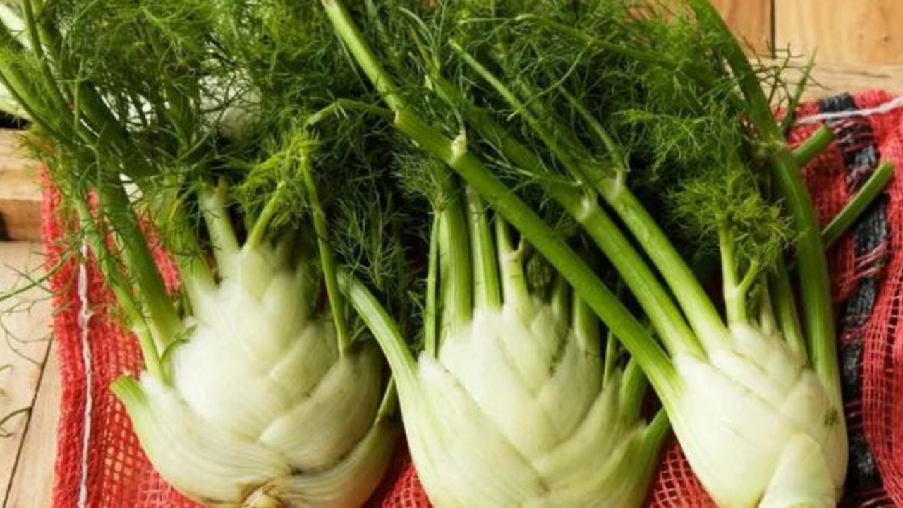 Emziren annelere 10 özel besin! Şifa kaynağı! Sayısız fayda sağlıyor