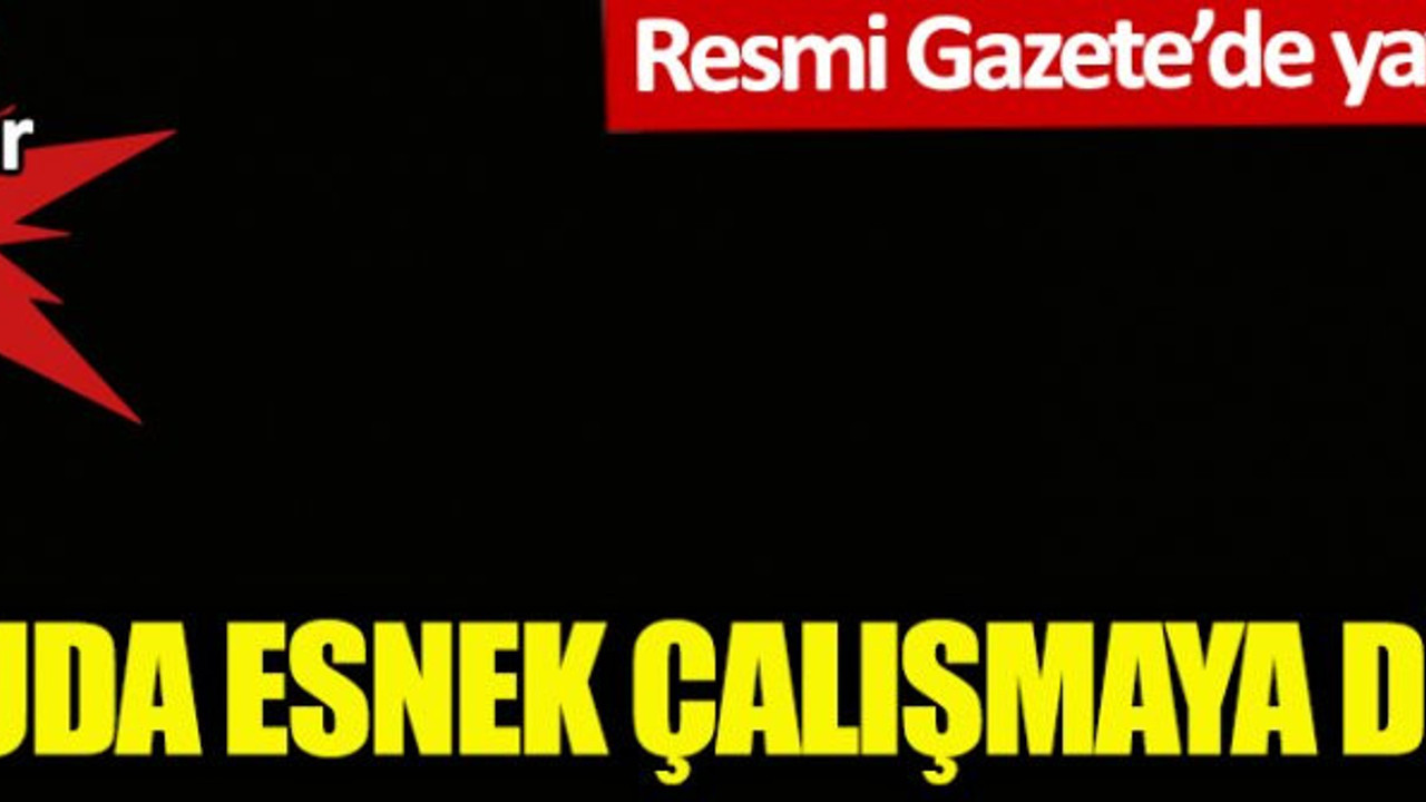 Kamuda esnek çalışmaya dönüş! Resmi Gazete'de yayımlandı! Detaylar belli oldu