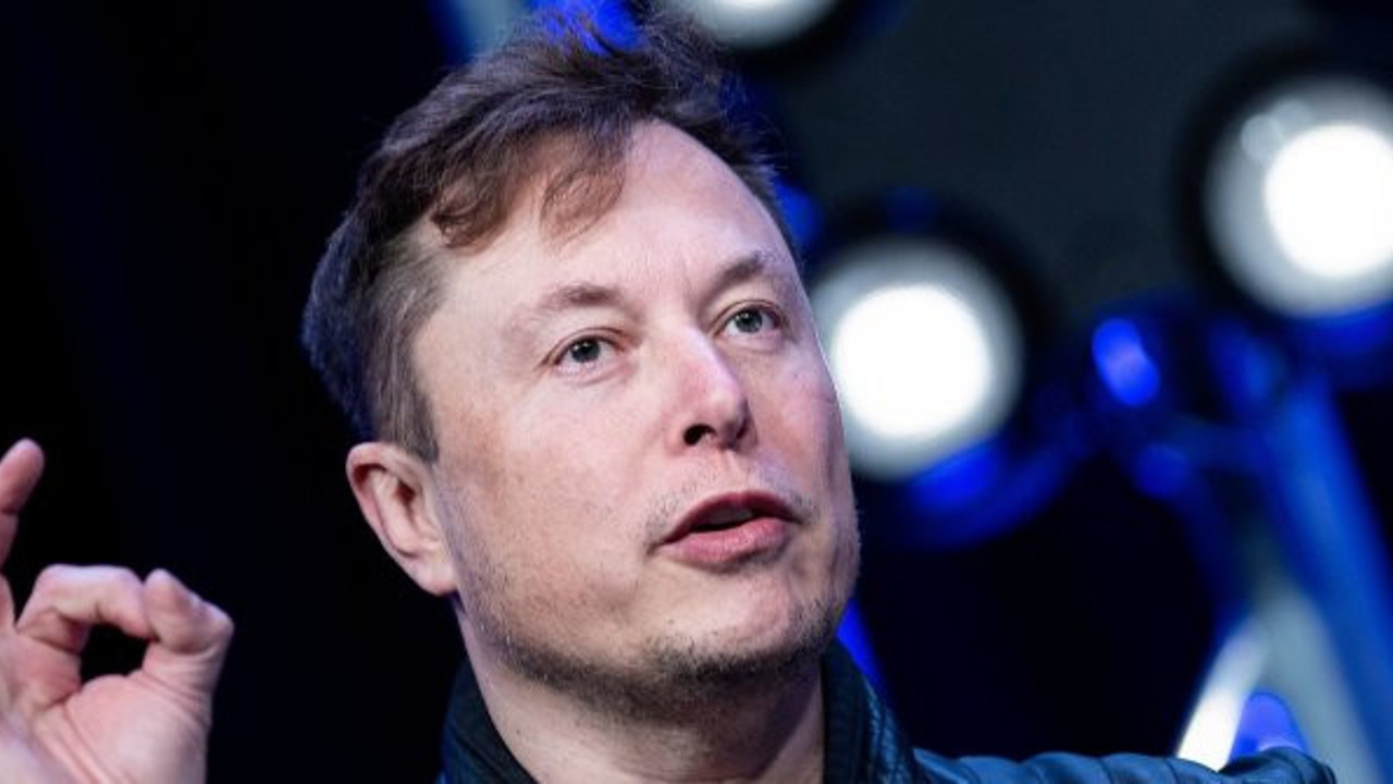 İnsanlığın sonun getirecek gelişme: Elon Musk, domuzun beynine çip taktı