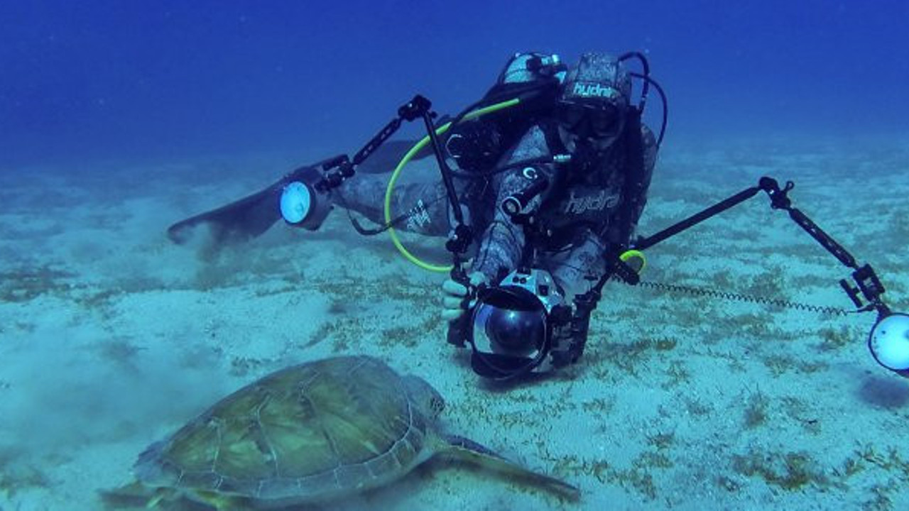 Dalgıçların 3 bacaklı hürrem keyfi! Chelonia mydas büyülüyor