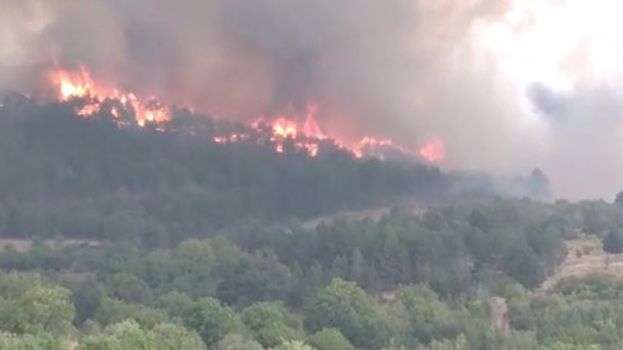 Ankara Nallıhan'daki orman yangını devam ediyor