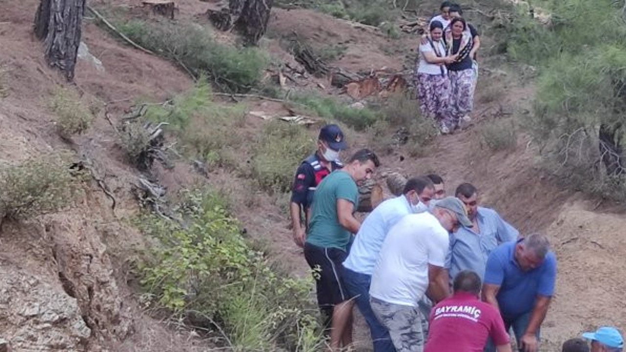 Kestiği ağaç mezarı oldu