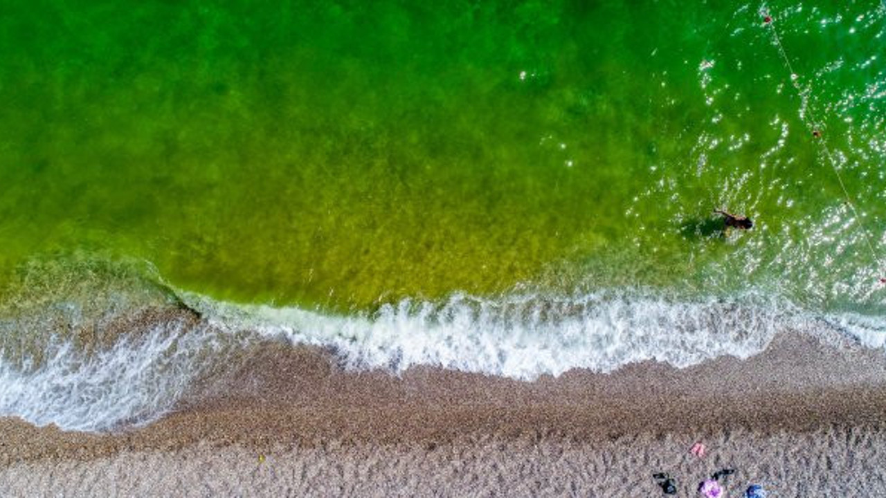 Masmavi deniz yeşyeşil oldu! Konyaaltı'nda korkutan görüntü