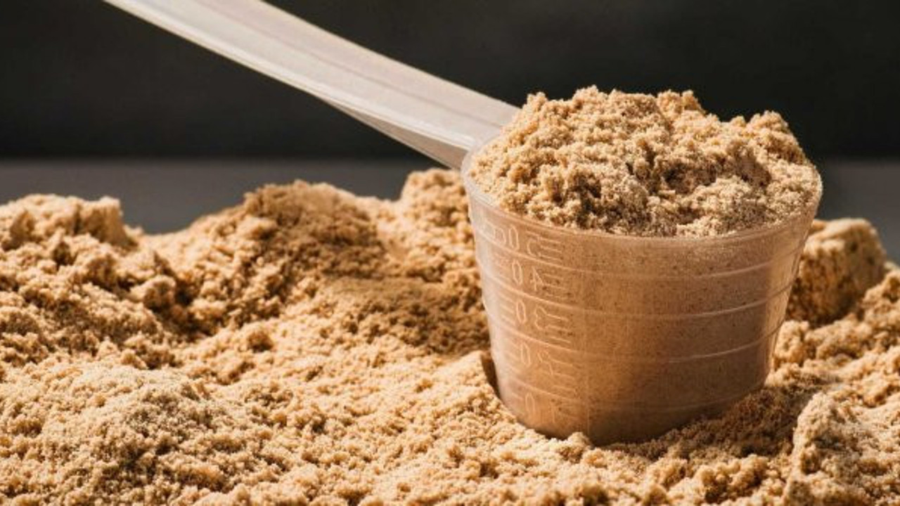 Korkutan araştırmanın sonuçları paylaşıldı: İnsanlar bu canlı ile beslenmek zorunda kalacak