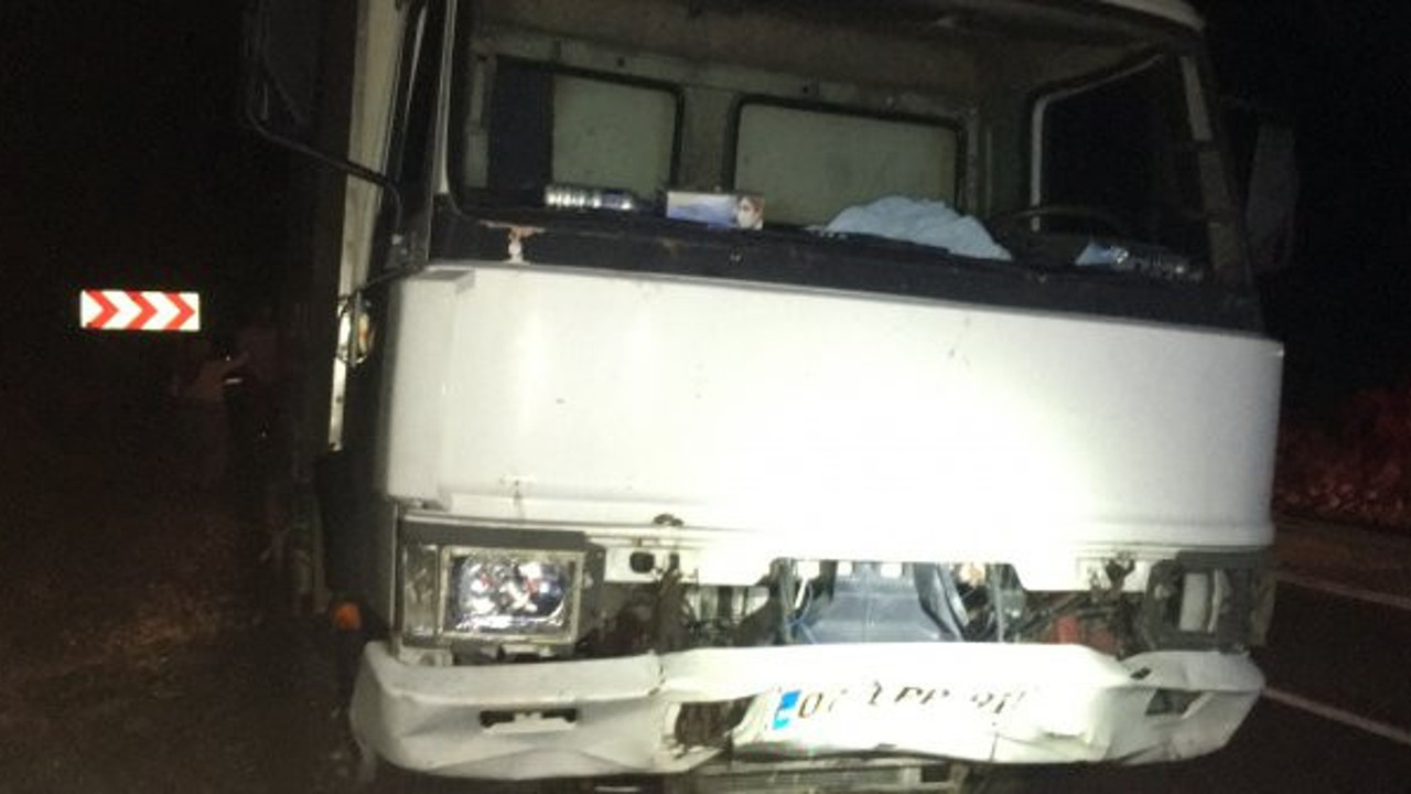 Antalya'da katliam gibi kaza! Çok sayıda küçükbaş hayvan telef oldu