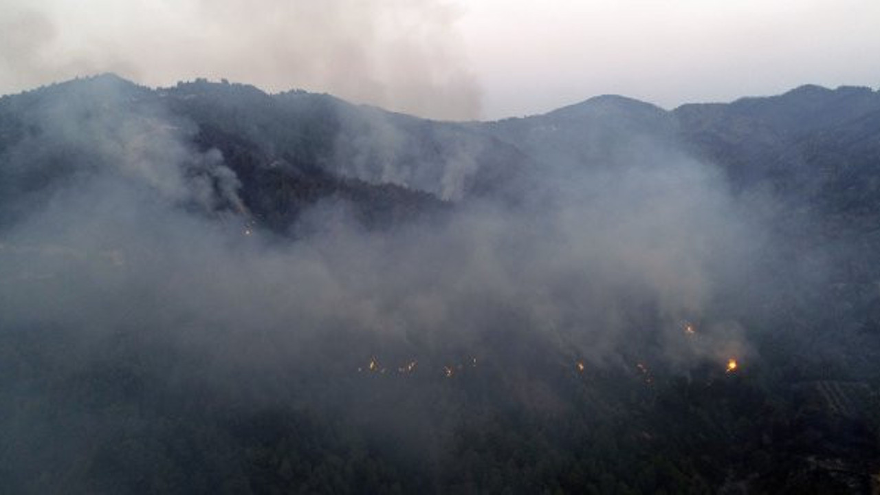 Hatay'da orman yangını devam ediyor