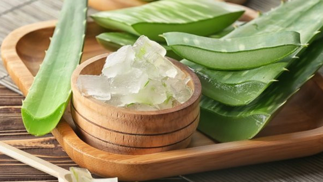 Bağışıklığa mucize şifa: Aloe vera! Sonbahara özel gıda takviyeleri