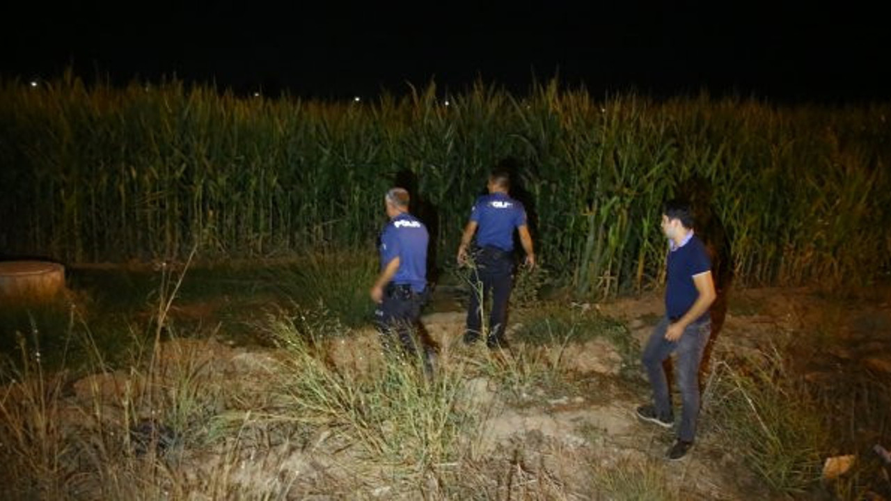 Adana'da şüpheli şahıs 'dur' ihtarına uymadı! Mısır tarlasına kaçtı