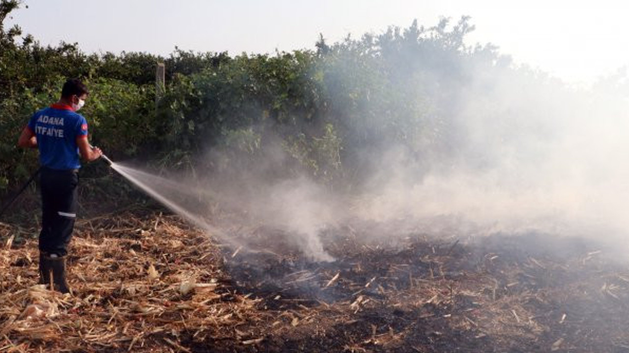 Çiftçilerin yaktığı anız havayı zehirliyor