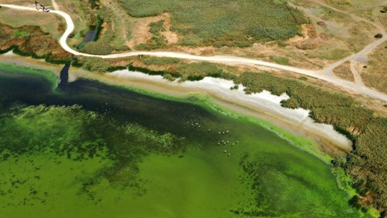 Her şey daha da kötü olacak... Tedirgin eden ortalama