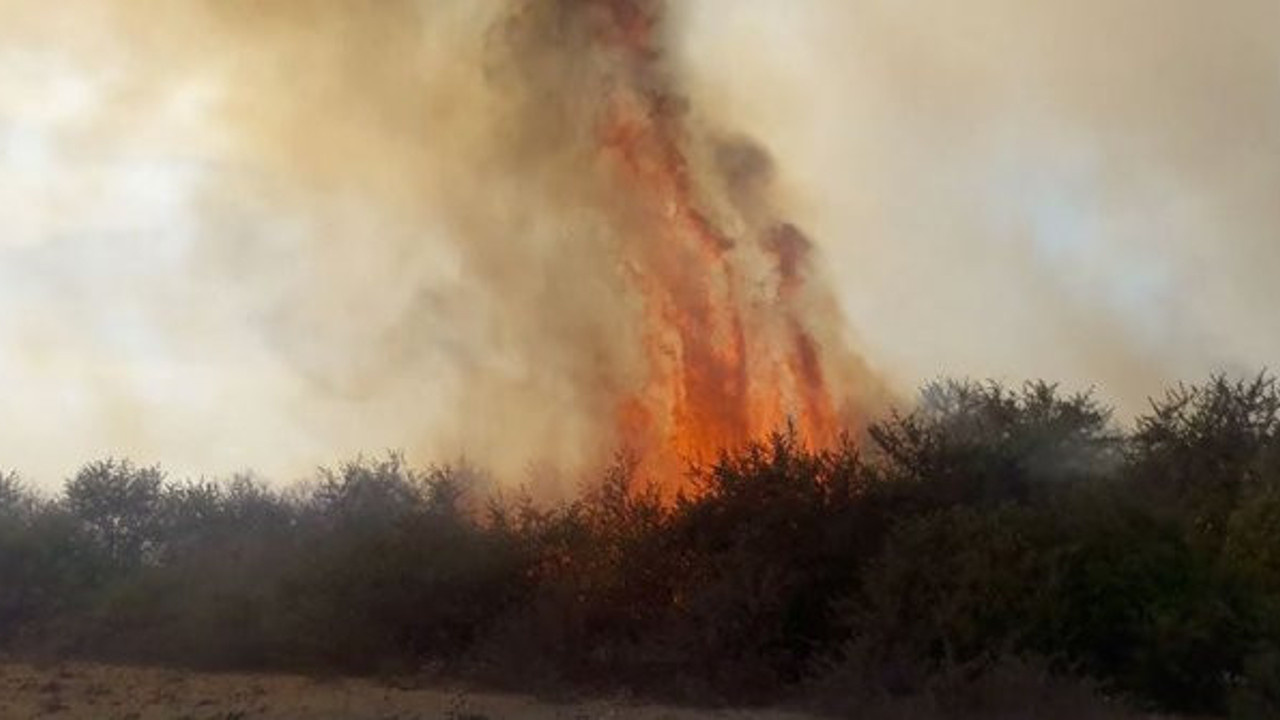 Kuş Cenneti'nde korkutan yangın