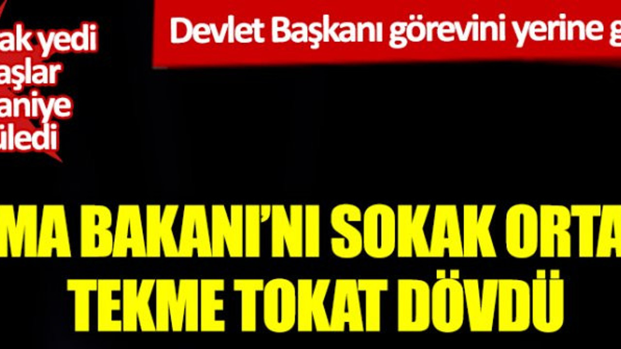Devlet Başkanı görevini yerine getirmeyen Çalışma Bakanı'nı sokak ortasında dövdü! Bakan dayak yedi vatandaşlar saniye saniye görüntüledi