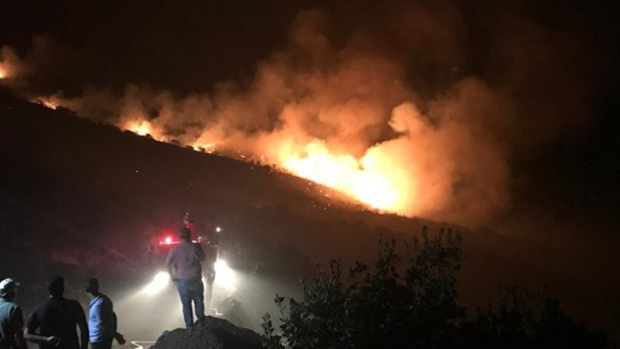 Elazığ'daki orman yangını rüzgarın etkisiyle büyüdü