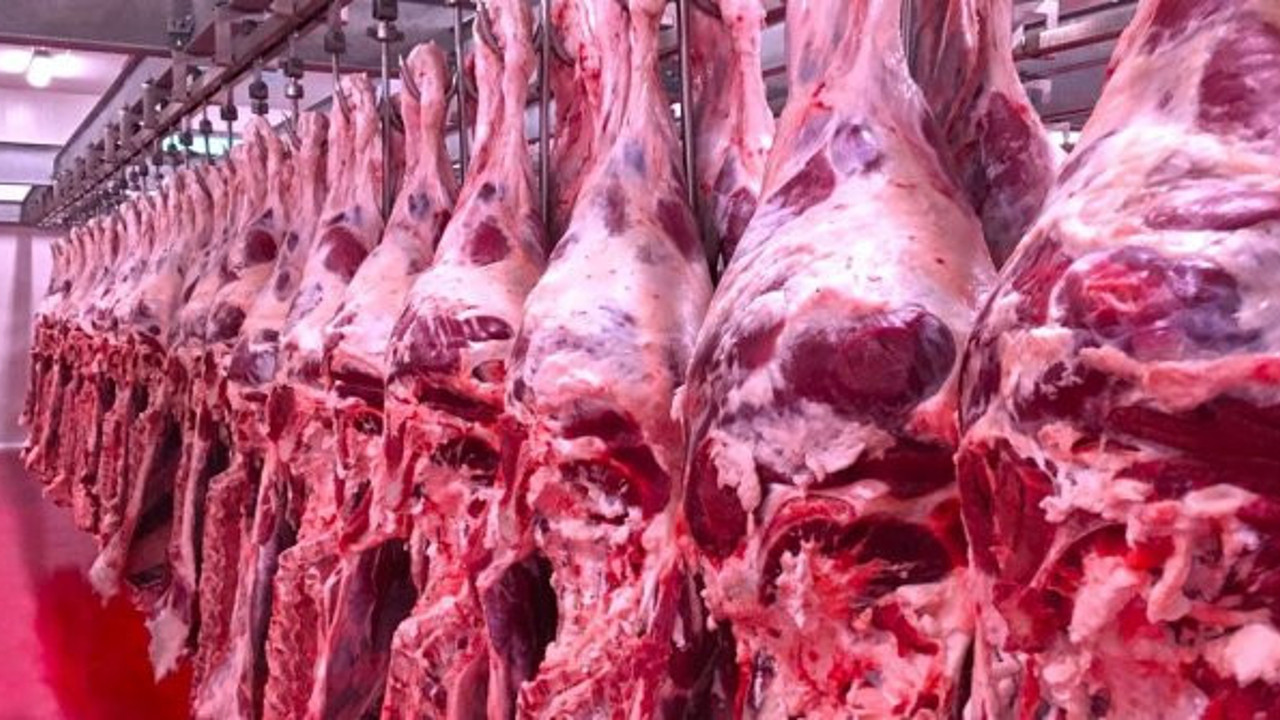 Ürünlerinde at eti çıkan kasap ve lokantadan güldüren savunma! Pişkinliğin bu kadarına pes