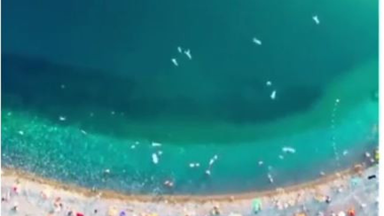 İnsanlığı ilk defa böyle göreceksiniz: Eğer uzaylılar da böyle görüyorsa yandık