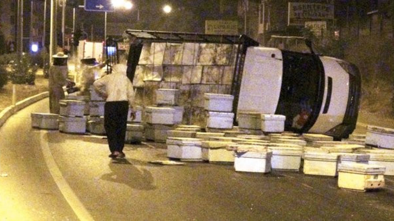 Tüm mahalleyi bal arıları bastı! Geceyi uykusuz geçirdiler