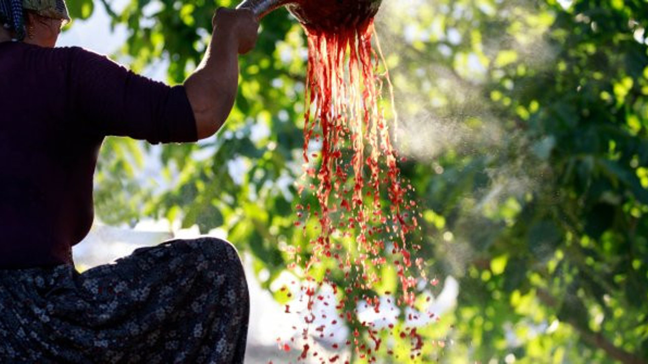 Bu besin insanı canlı kanlı yapıyor