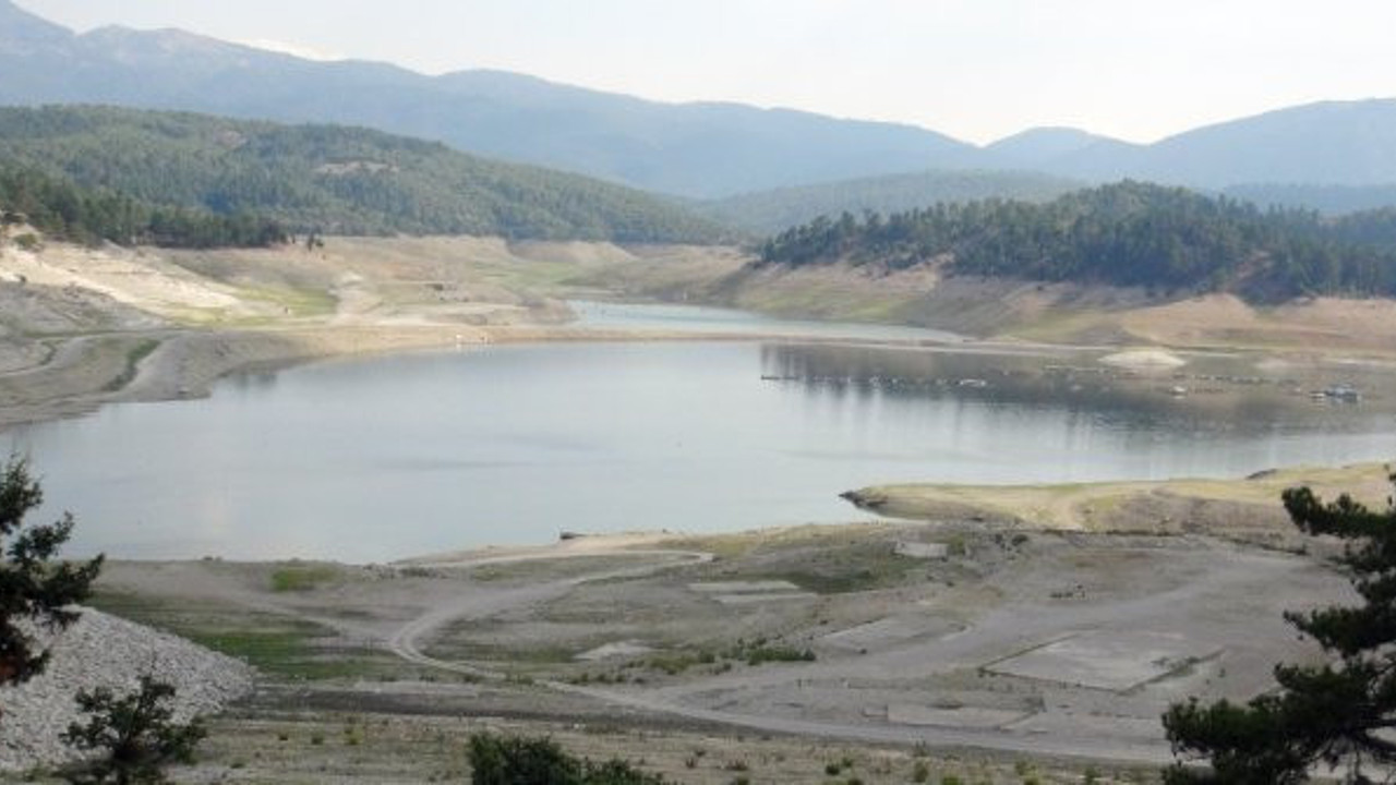 Yanyana yüzlercesi çırpına çırpına öldü! Görenlerin yürekleri parçalandı