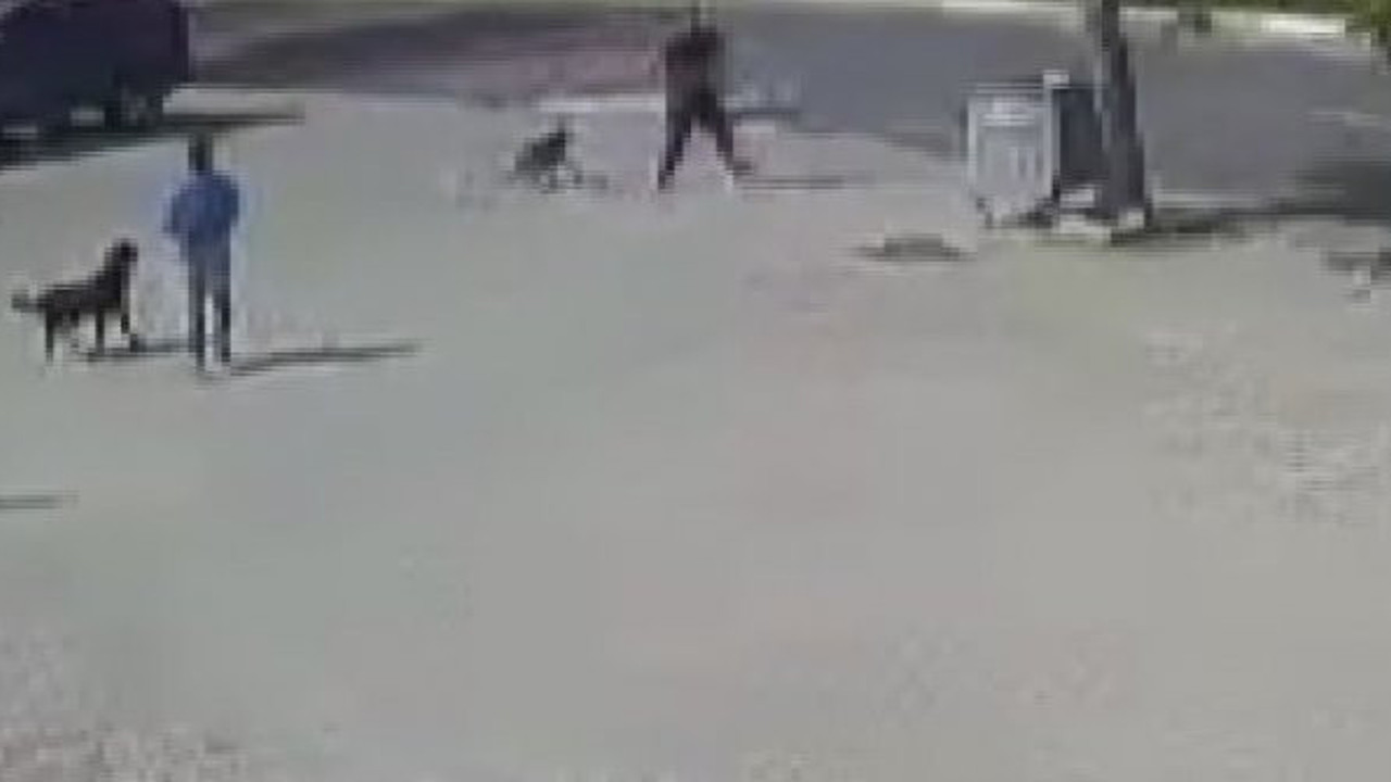 İstanbul'da sokak ortasında dehşet: Önce dövüştürdü sonra acımasızca vurdu