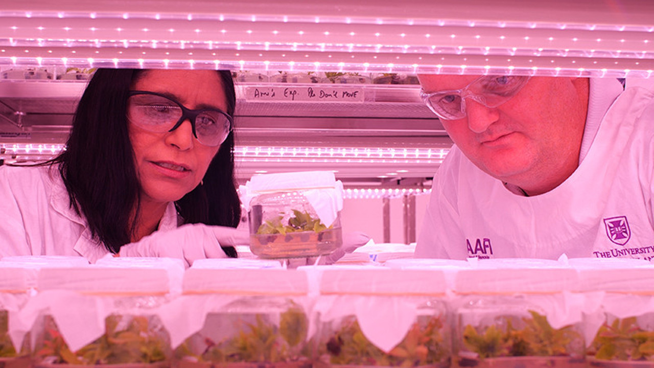 Donduruyorlar, saklıyorlar, yeniden canlandırıyorlar! Avusturyalı bilim insanlarından çığır açan buluş