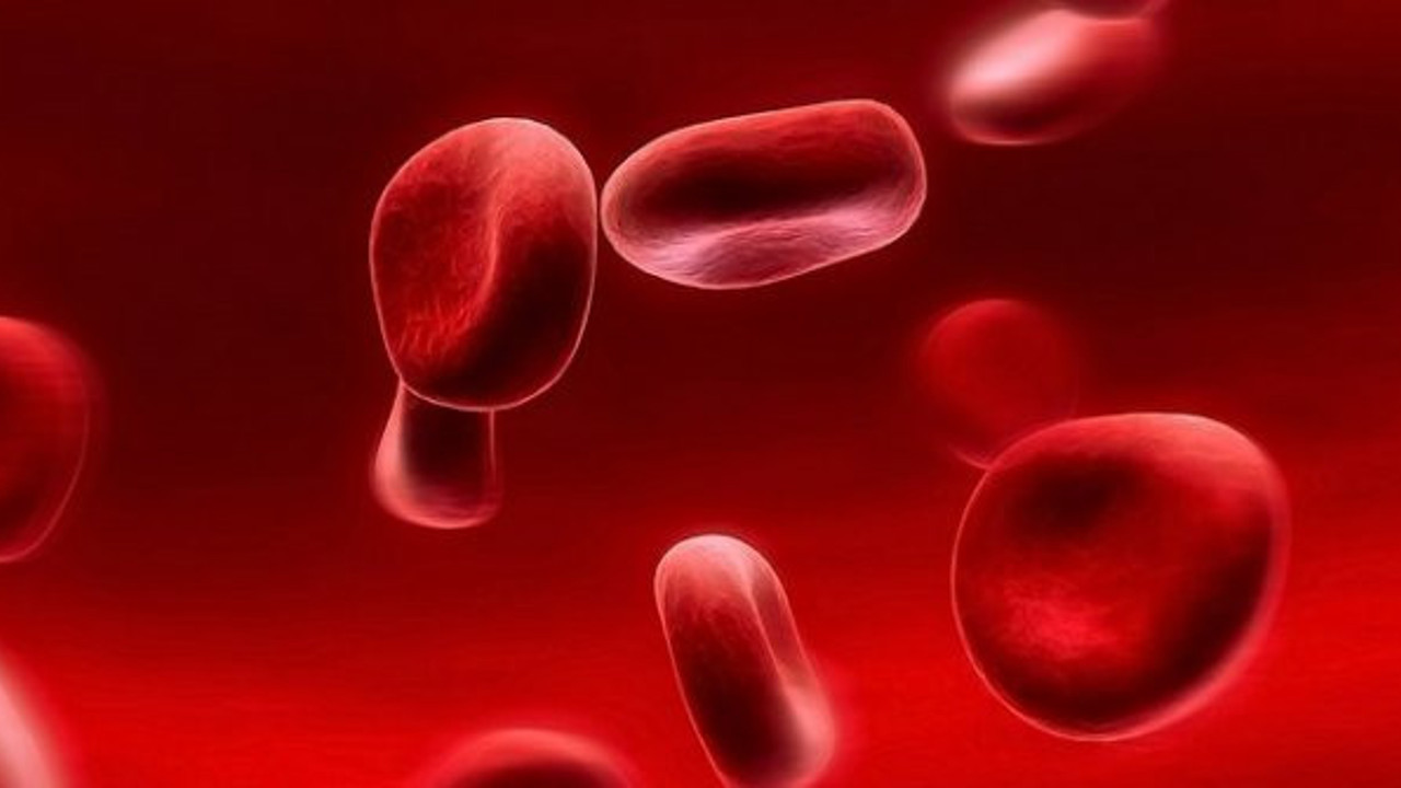 RDW nedir? RDW düşüklüğü ve yüksekliği ne anlama gelir?