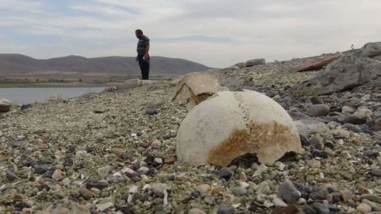 Su seviyesinin düşmesiyle ortaya çıktı. Arkeologlar oraya koşuyor