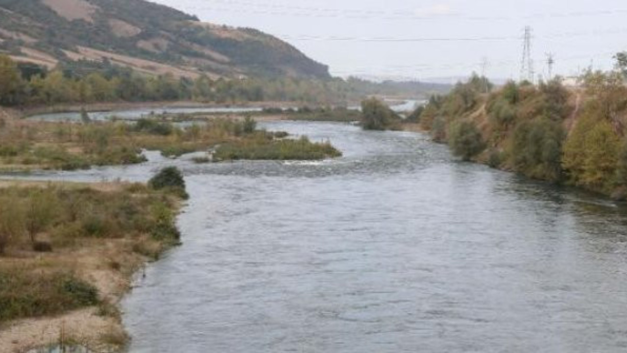 İsrail Sazanı diğer balıkların soyunu tüketiyor. Kızılırmak ve Yeşilırmak tehdit altında. Prof. Dr. Nazmi Polat’tan şok açıklama.