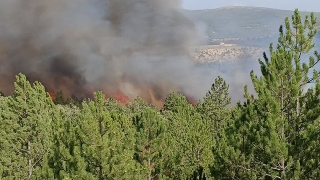 Kütahya'da orman yangını (29 Eylül 2020)