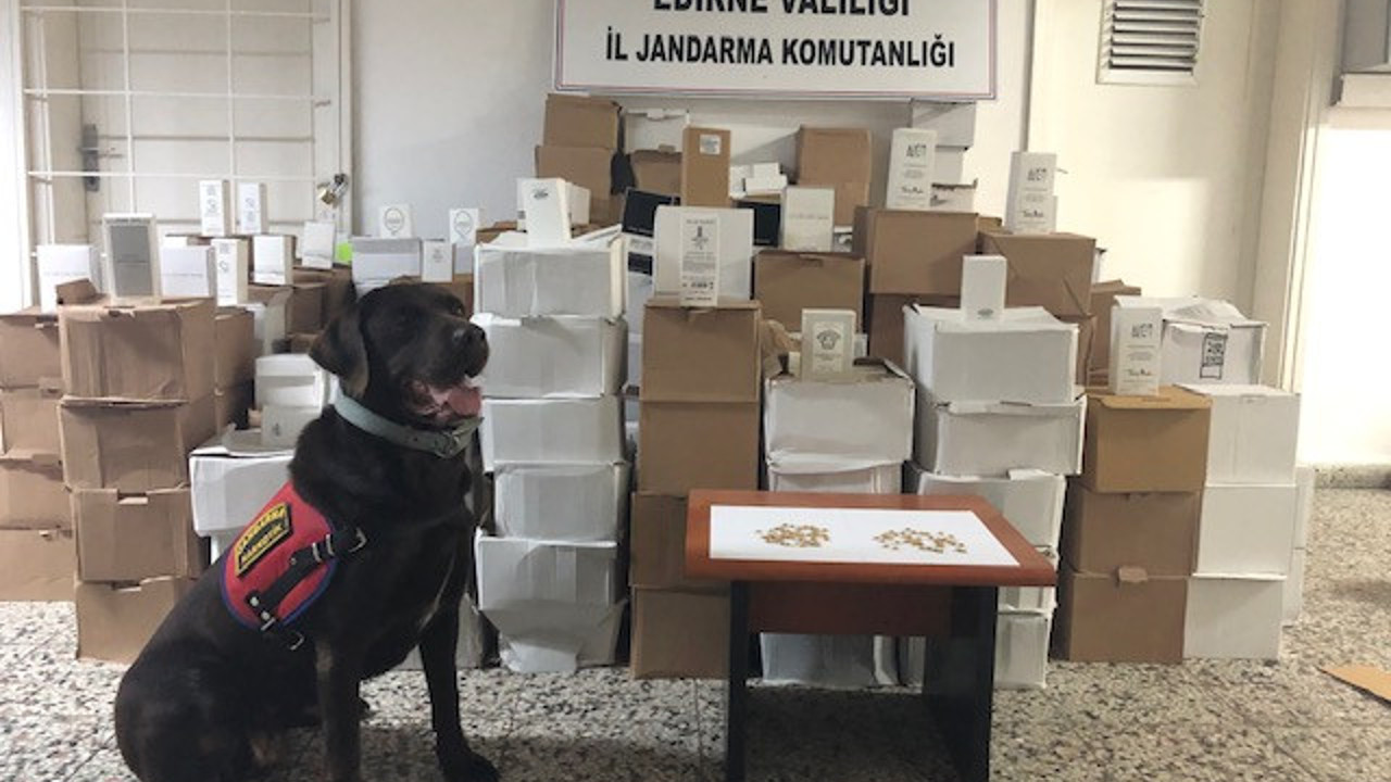 Kıyma makinesine gizlenen uyuşturucuyu narkotik köpeği Çiko buldu
