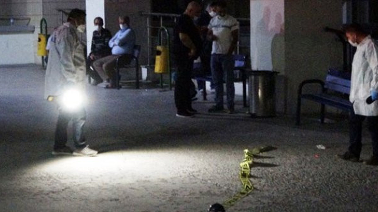 Hamile eşini döven kadın ve kocasını vurdu