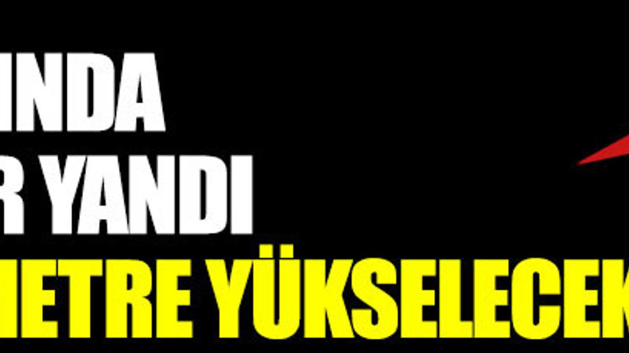Deniz kıyısında evi olanlar yandı, sular 2,5 metre yükselecek. Bilim insanlarından buzulların erime açıklaması
