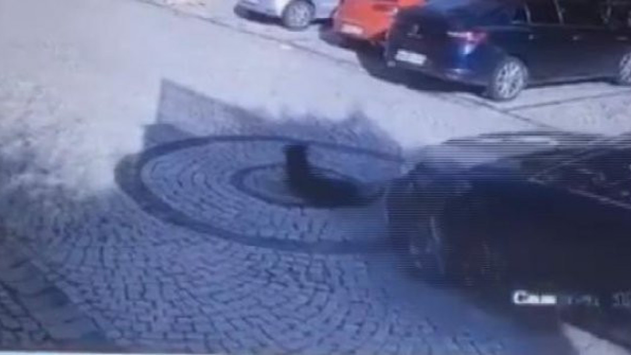 Lüks sitede köpeğin üzerinden geçip yoluna devam etti! İnsan demeye bin şahit lazım