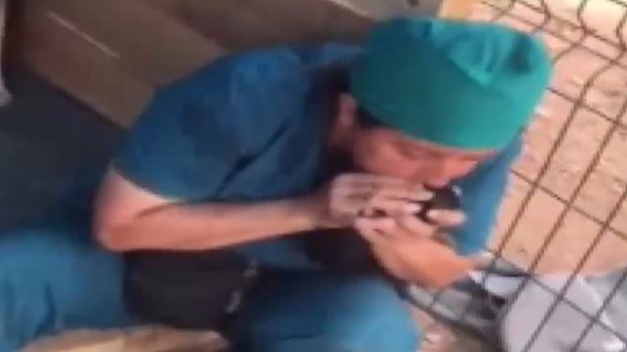 Hayvansever kadının hareketi takdir topladı. Ölü yavruları tek tek hayata döndürdü