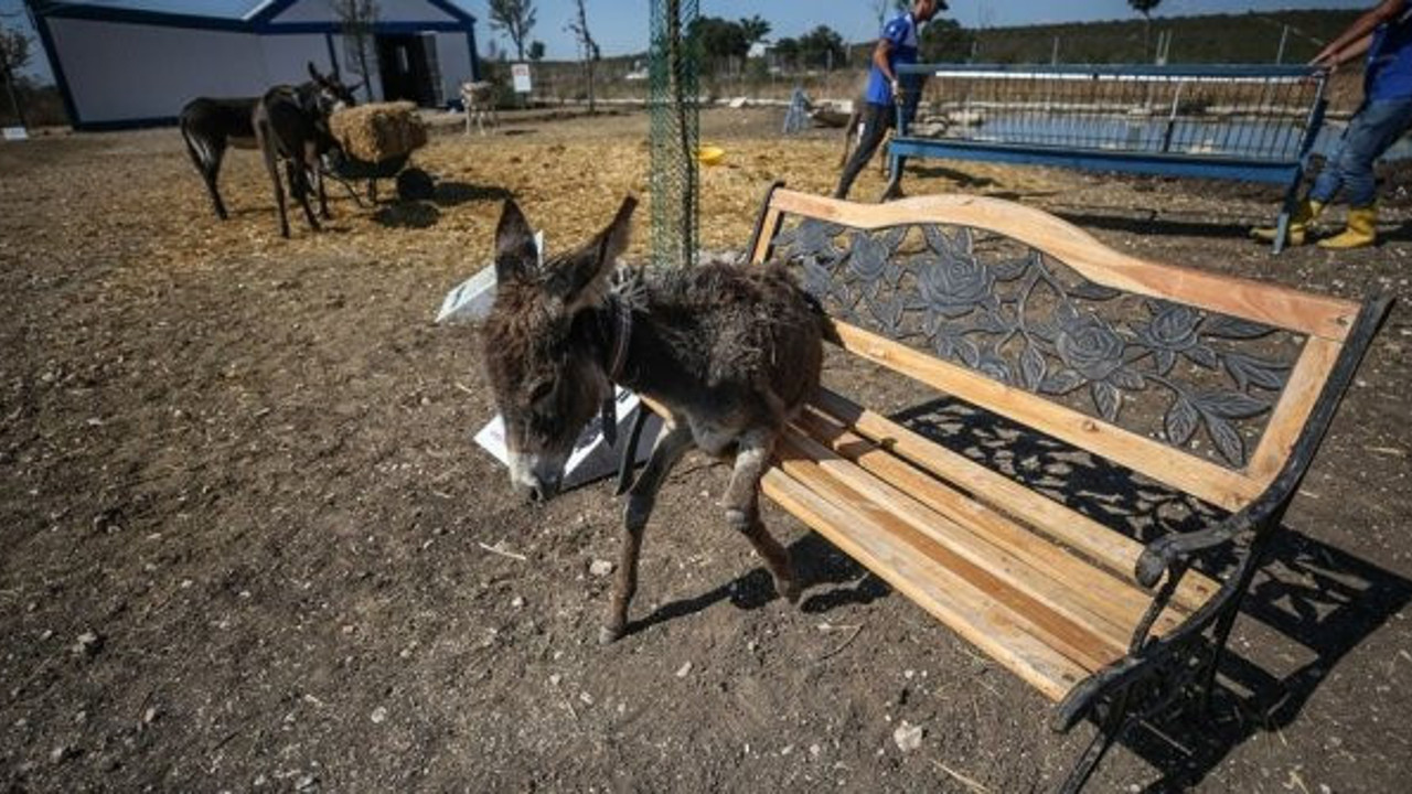 Bunu yapan insandan Allah razı olsun. Yaşasın iyilik kahrolsun kötülük